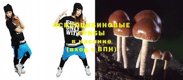 каннабис Арсеньев