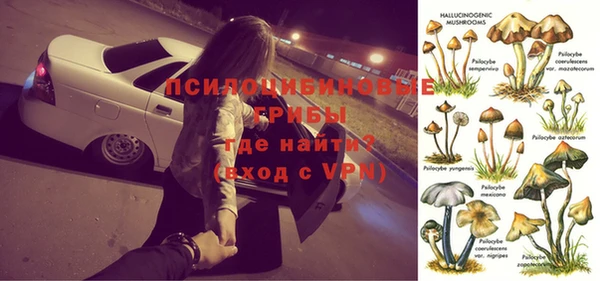 каннабис Арсеньев