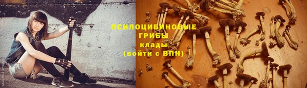 каннабис Арсеньев